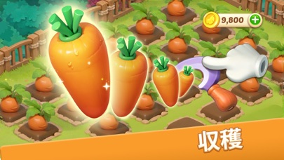 ミラクルハウスの収穫|ニンジンなどの作物を収穫する場面