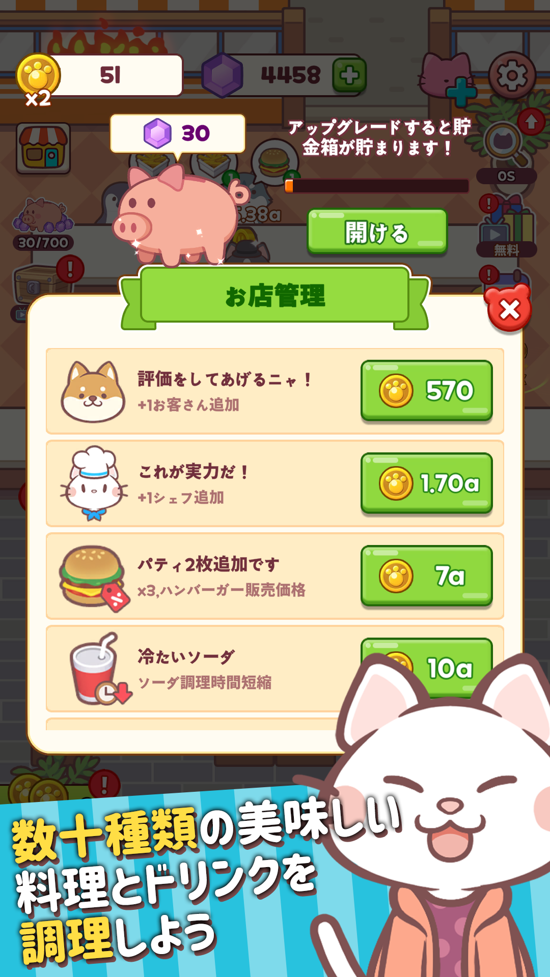 猫猫カフェの調理｜数十種類の美味しい料理とドリンクを調理する場面