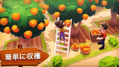 Sunshine Islandの果樹収穫｜オレンジの木から実を簡単に収穫する場面